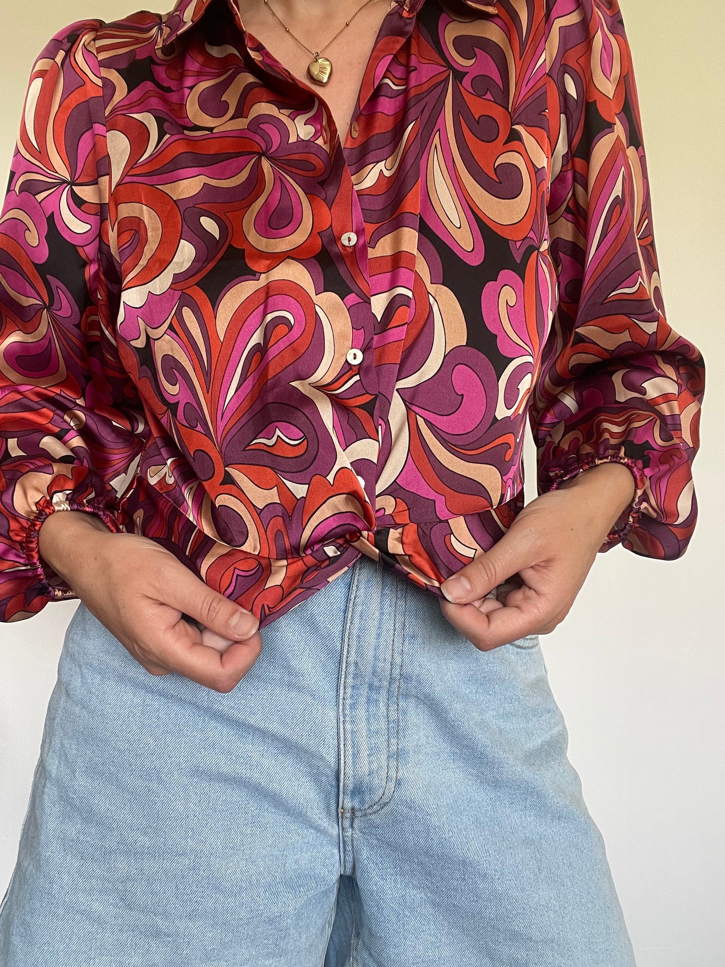 Haver Shirt BNWT - Size Small