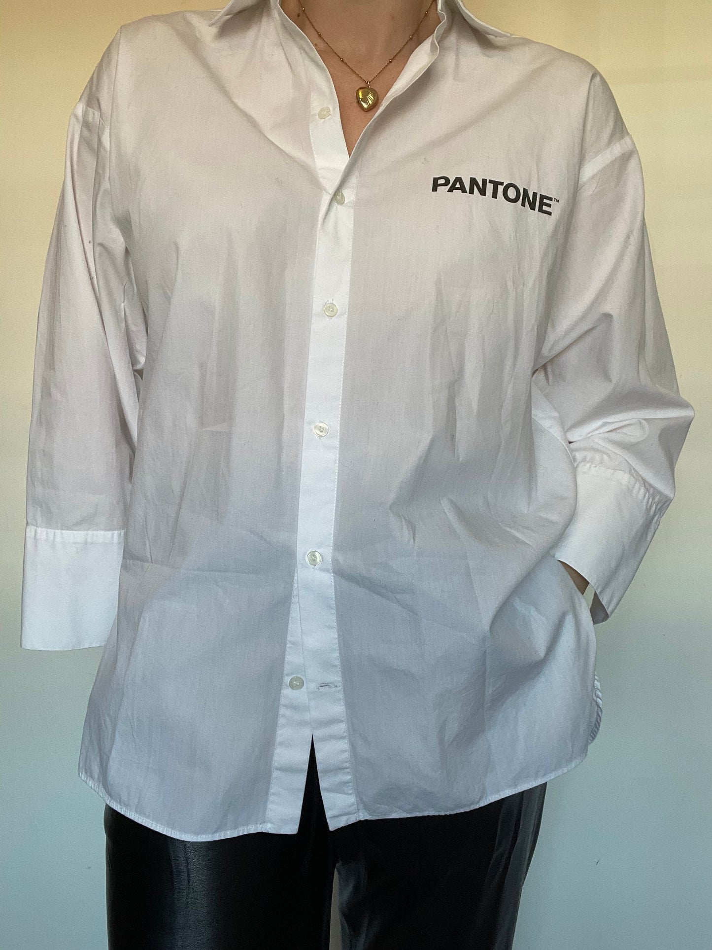Zara Pantone Oversized Shirt