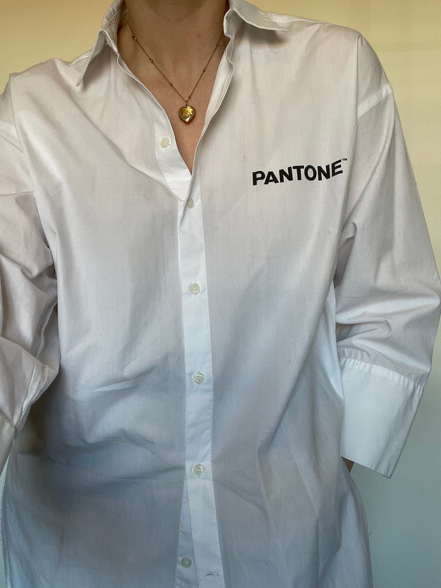 Zara Pantone Oversized Shirt