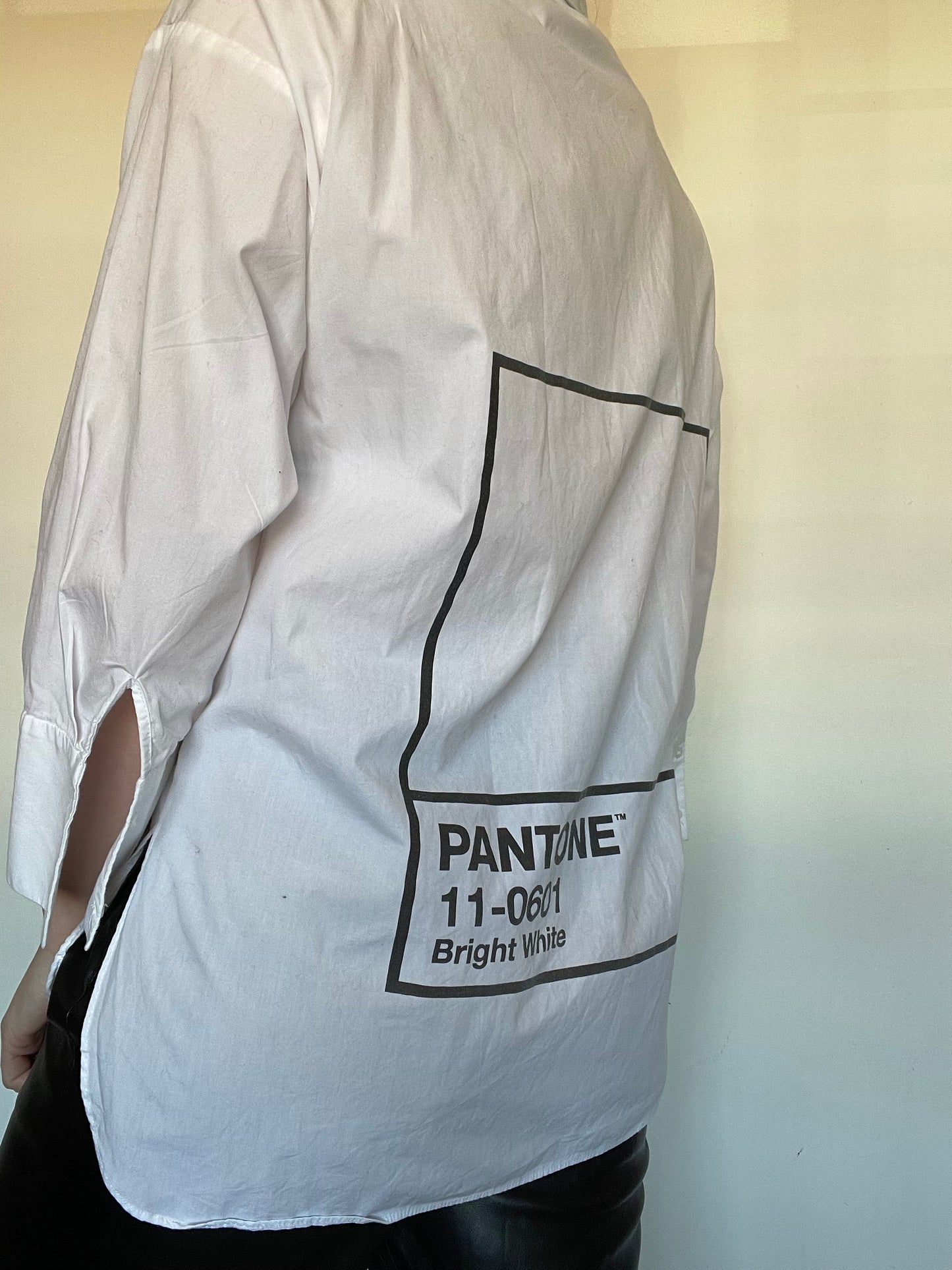 Zara Pantone Oversized Shirt
