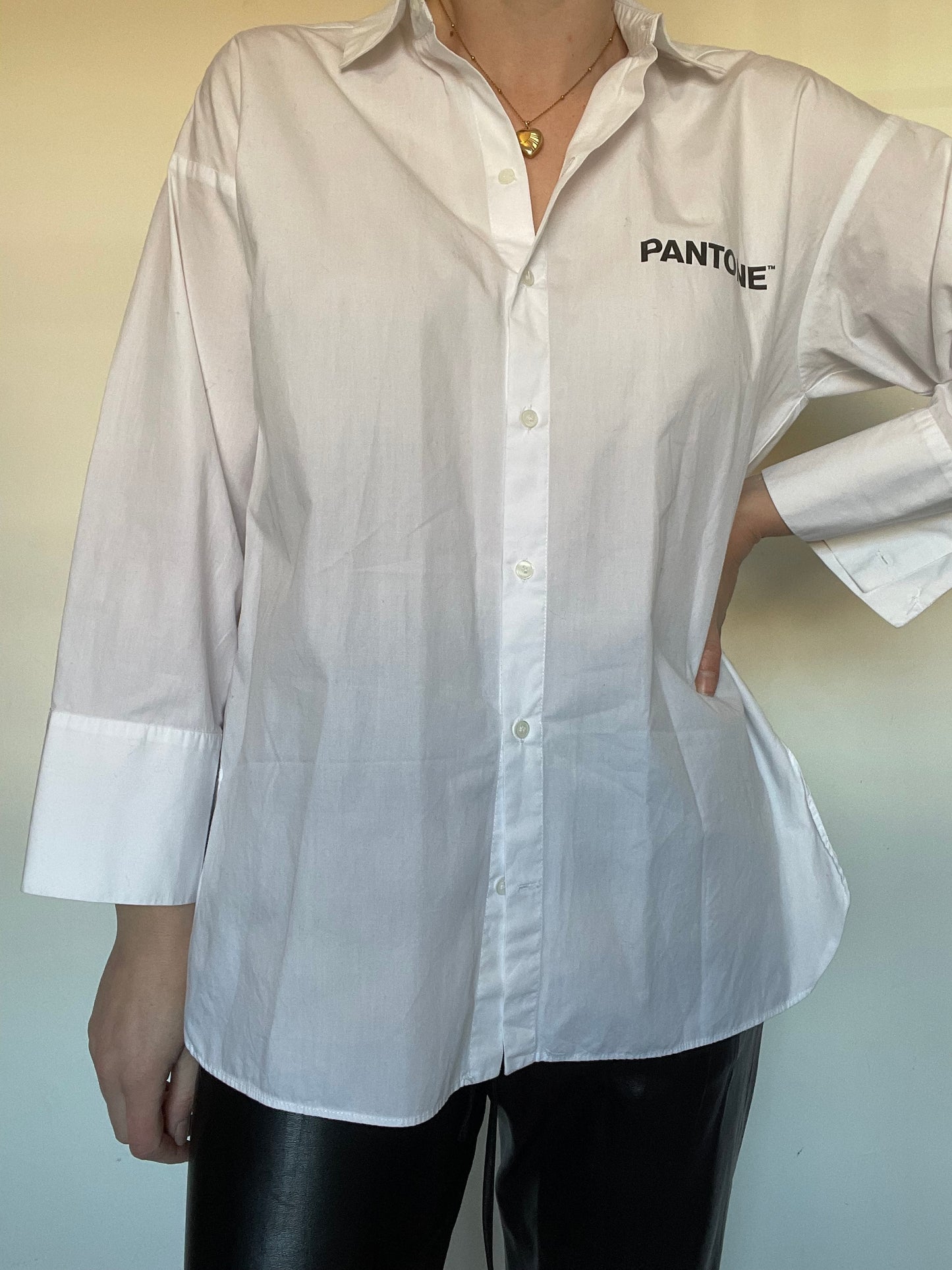 Zara Pantone Oversized Shirt