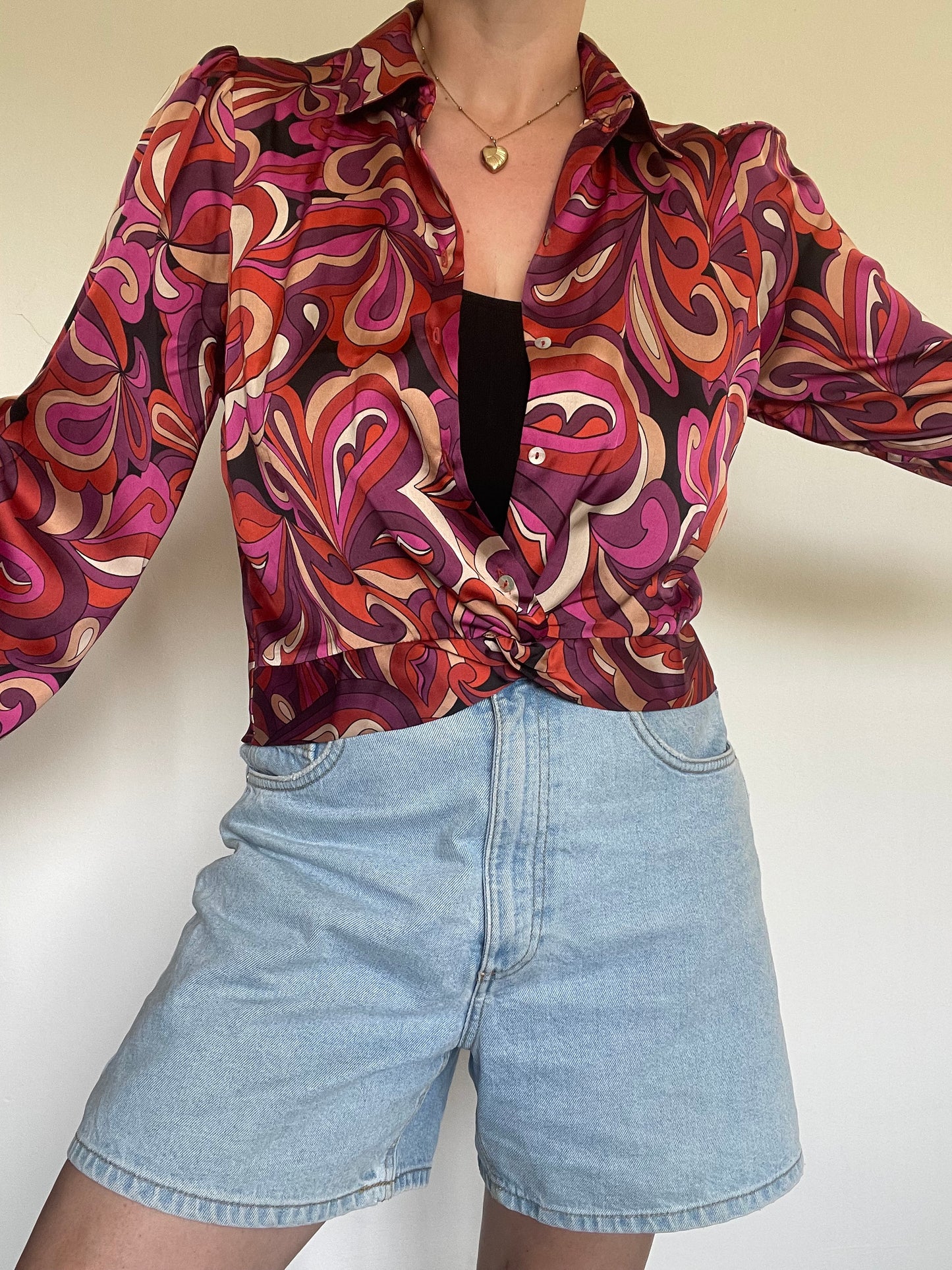 Haver Shirt BNWT - Size Small