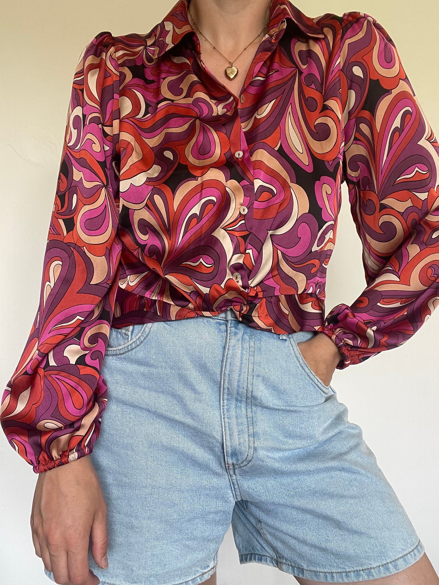 Haver Shirt BNWT - Size Small