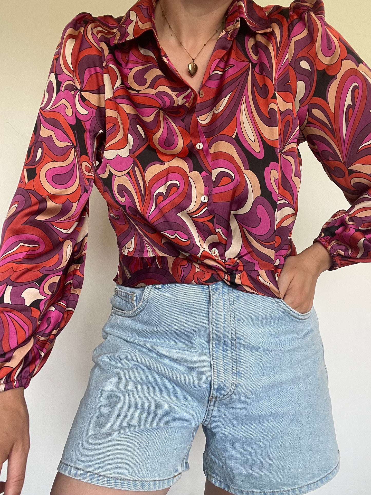 Haver Shirt BNWT - Size Small