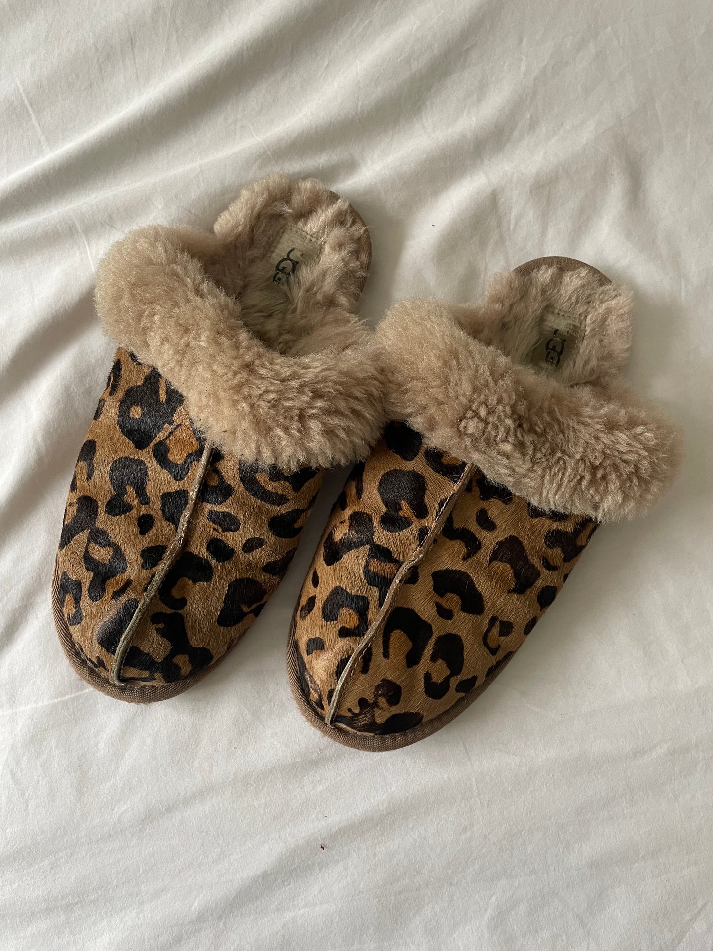 Ugg Slippers