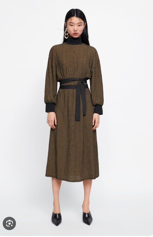 Zara Dress - Size M